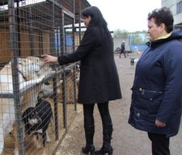 Депутат Госдумы побывала в приюте для животных