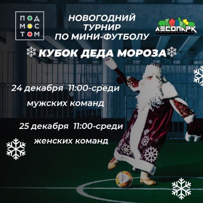В Лесопарке пройдёт «Новогодний турнир по мини-футболу»