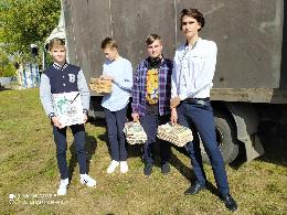 Рязанские школьники собрали 4 тонны макулатуры и спасли лес