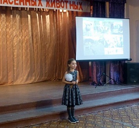В ЦДТ «Приокский» подвели итоги акции «Истории спасенных животных»