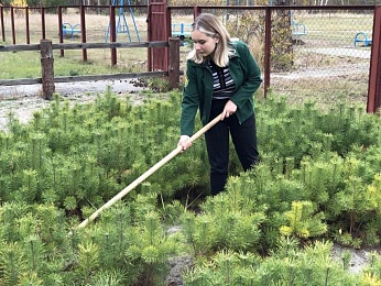 Школьники озеленили рязанские леса 